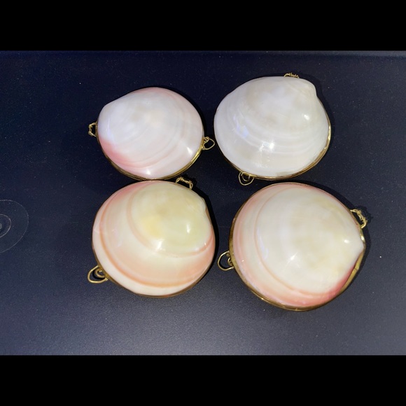 Seashell Mini Container 🐚 - Picture 3 of 6